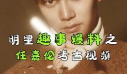 任嘉伦漫画爆料视频大全,揭秘明星幕后生活点滴